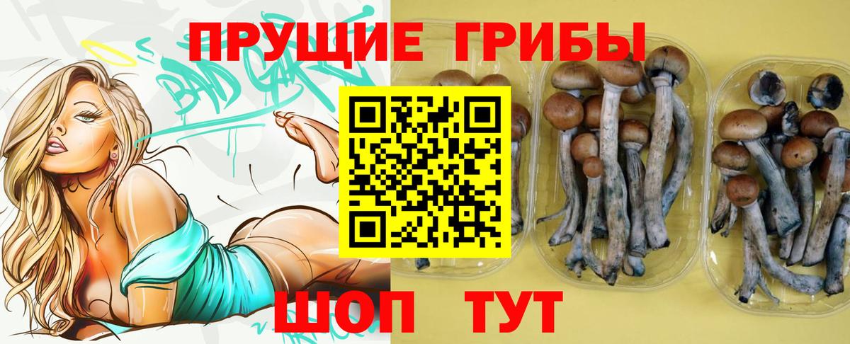Белогорск  Галлюциногенные грибы Magic Shrooms  Псилоцибиновые грибы Cubensis  Вход с VPN 