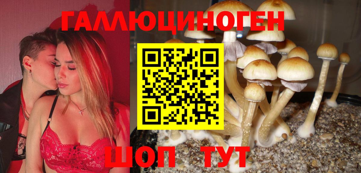 Псилоцибиновые грибы мухоморы Белогорск